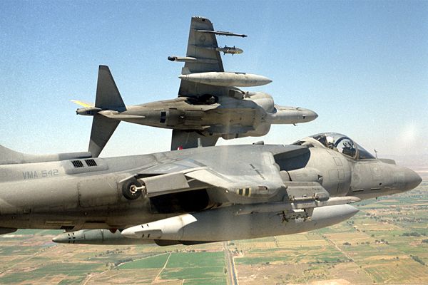 Harriers in flight