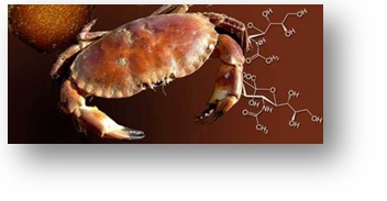 Crab-chitin