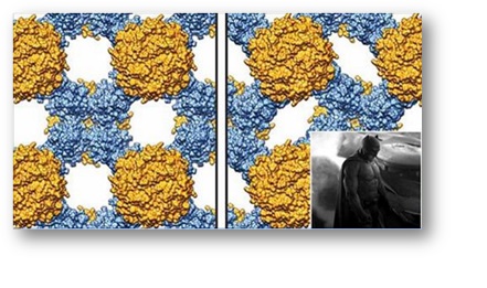 Auxetic Protein Crystals PR