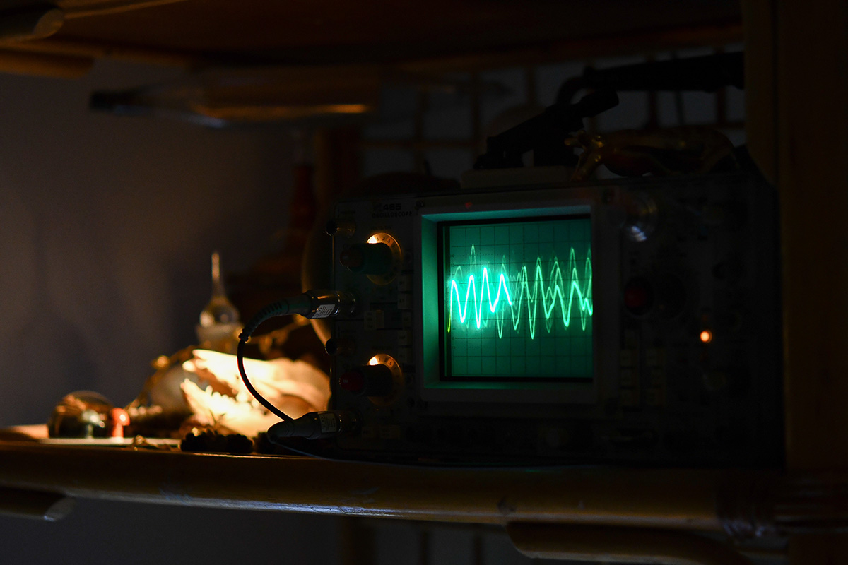 Photo of an oscilloscope showing a green waveform trace, next to a small animal skull