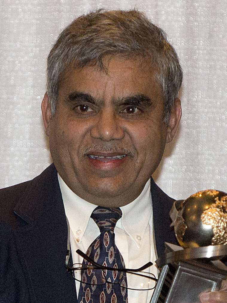 Rakesh K. Kapania