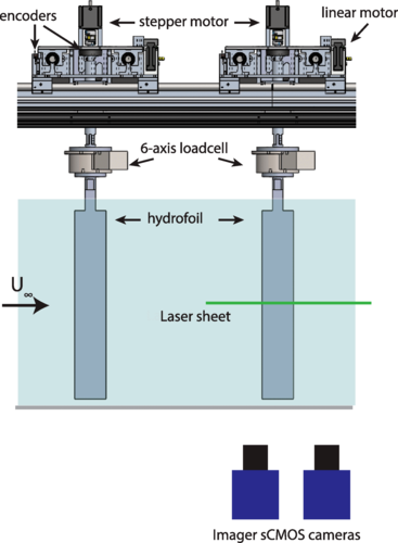 Side view of tandem-foil system in the flume, with identical leading (left) and trailing (right) foils, force transducers, encoders, actuators, laser sheet, and cameras for PIV measurements
