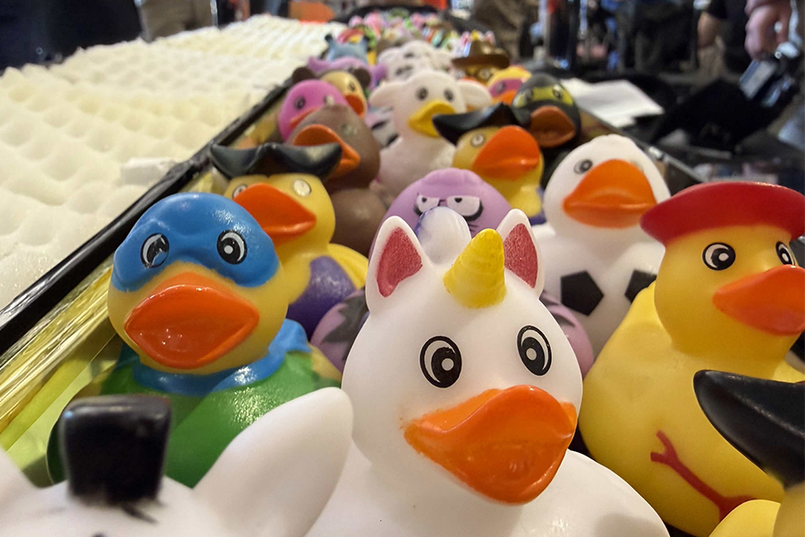 Many rubber ducks in the team's workshop