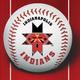 Indianapolis Indians logo