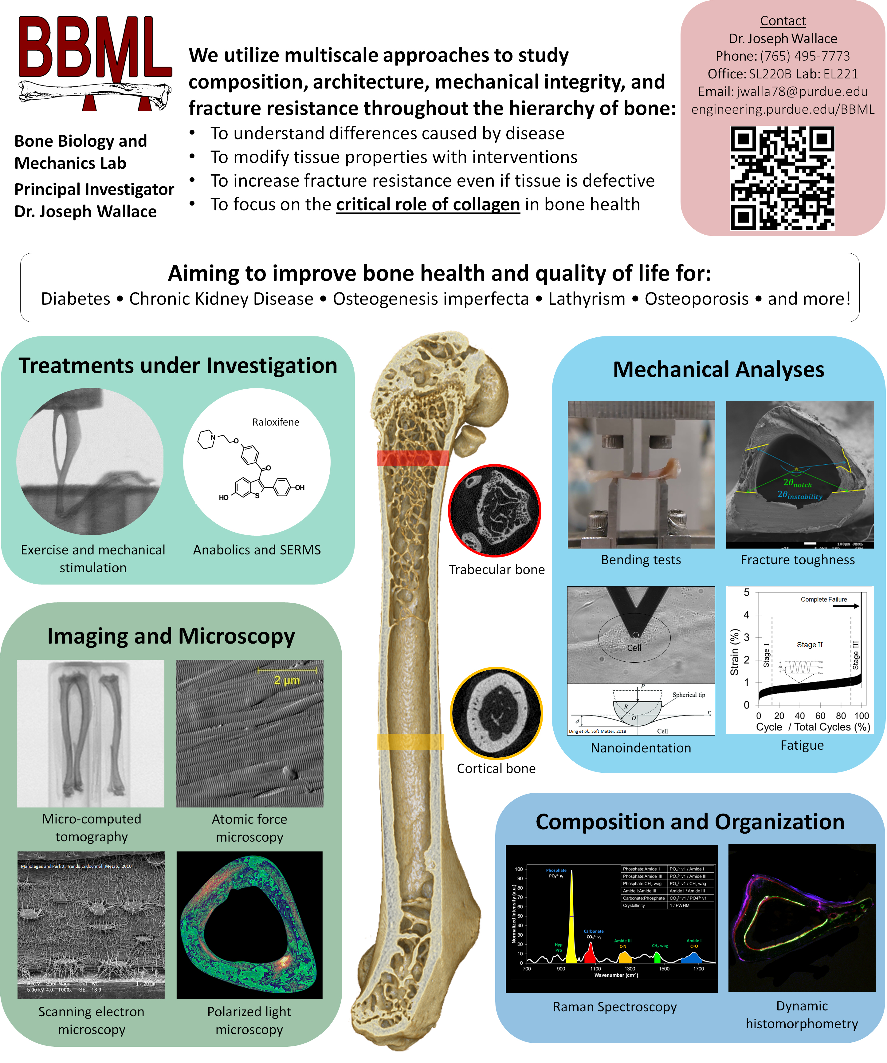 Lab Poster