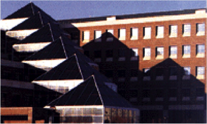 Purdue BME circa 2000