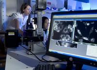 Collaboration in lab space 