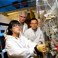 Ladisch working in the lab
