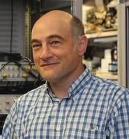 David Jacobson
