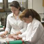 Graduate student and Professor Voytik-Harbin in the lab.