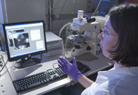 picture of woman in lab