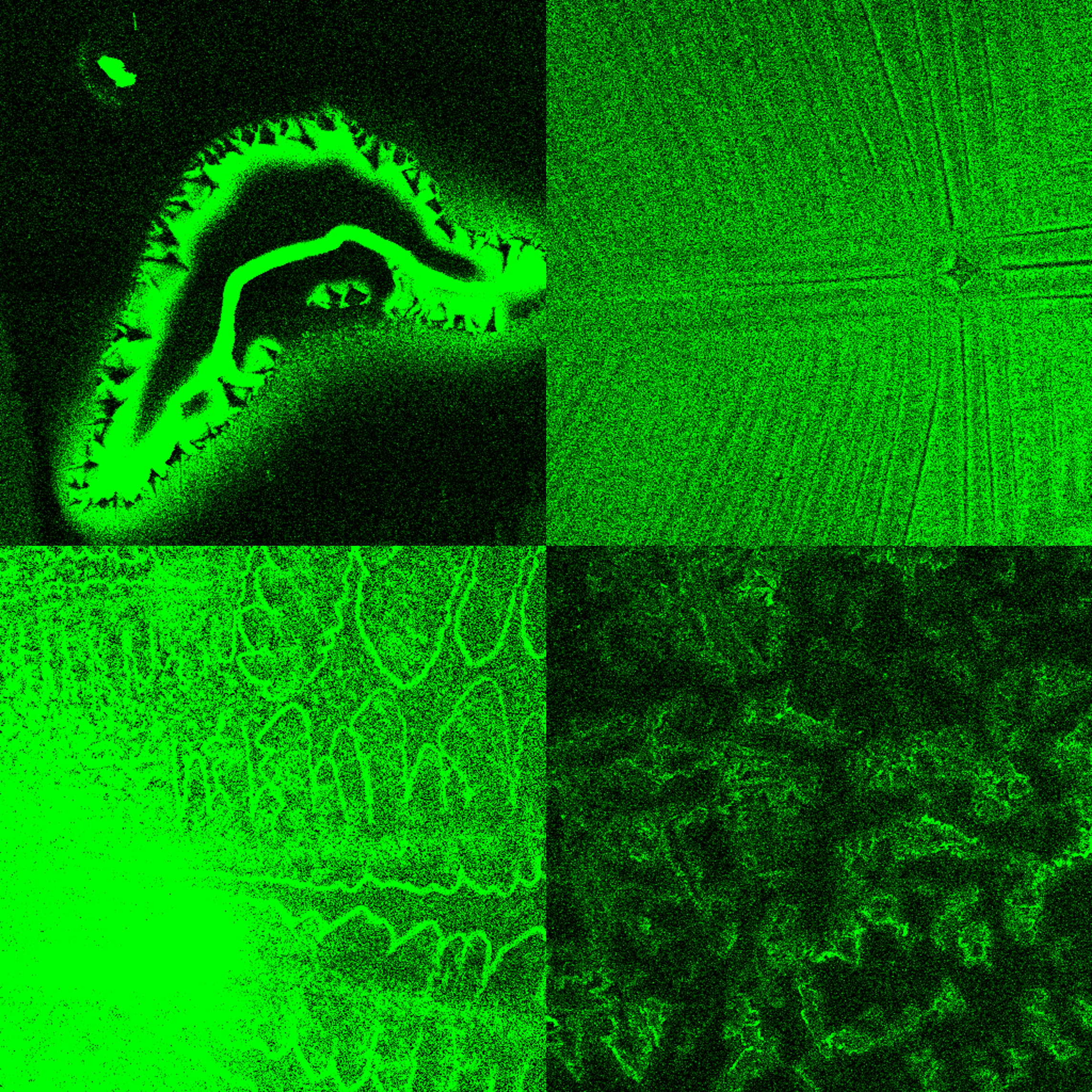 Texturing on Coated Surfaces