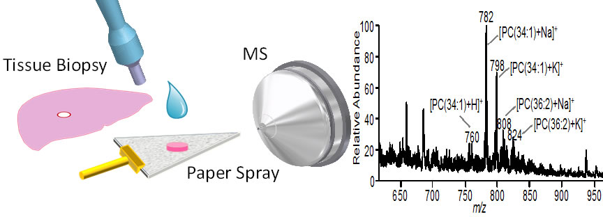 PS_Tissue Analysis