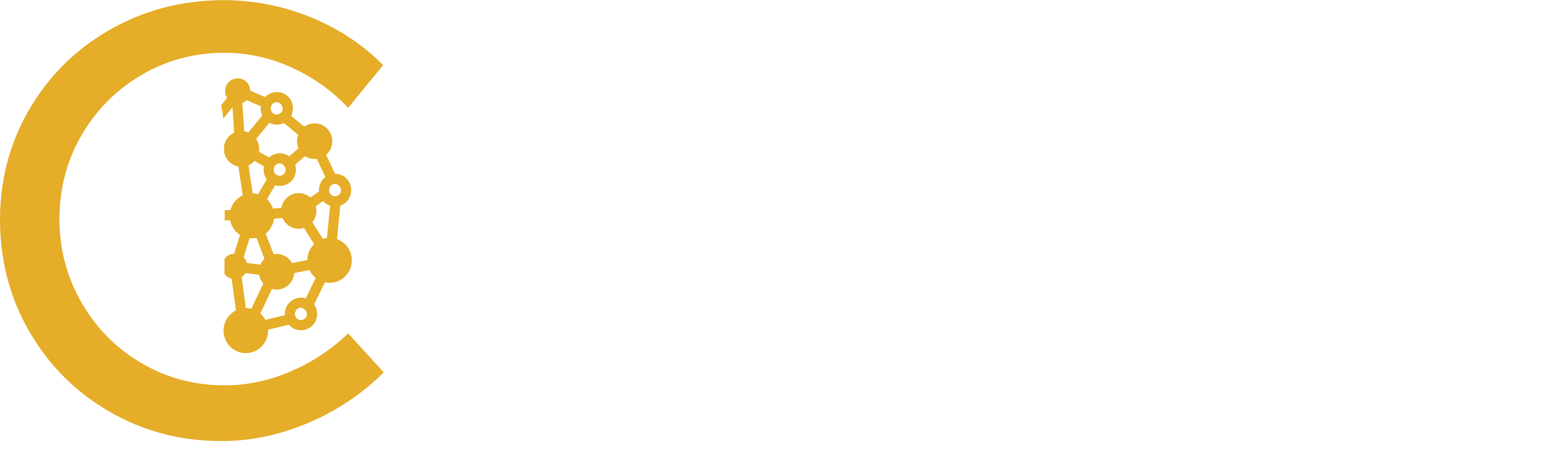 C-BRIC: Center for Brain-Inspired Computing
