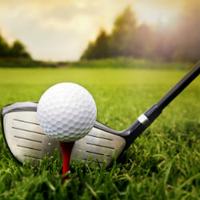 golf club & ball