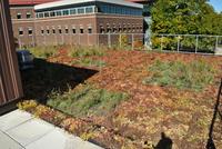 CE Green Roof Lab Dedication