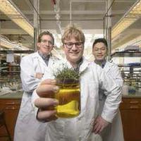 Nathaniel Kallmyer (center) stands with his mentors, Professor Ernest “Chip” Blatchley III (left), and Professor Zhi “George” Zhou.