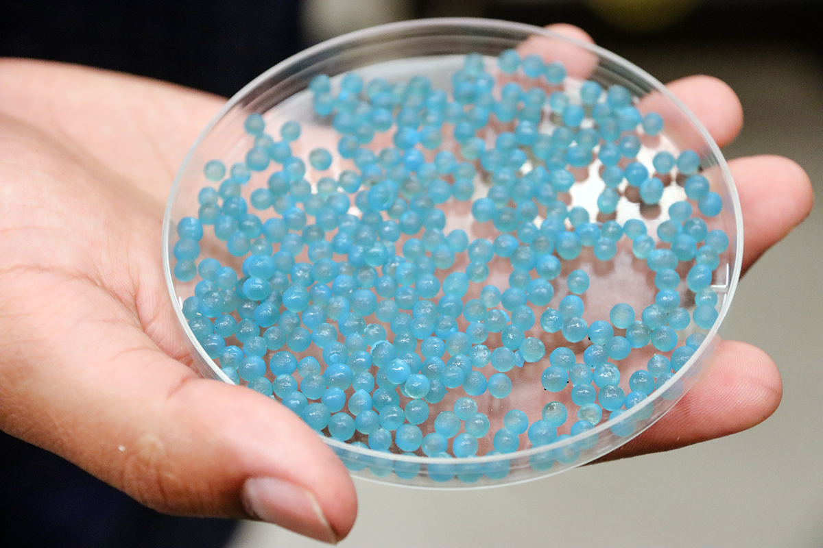blue granules in a dish