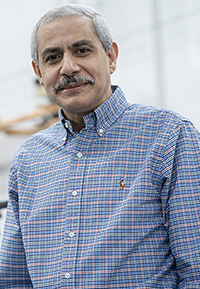 Ayman Habib