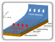 Role of nanoscale roughness in the heat transfer characteristics of thin film evaporation project figure