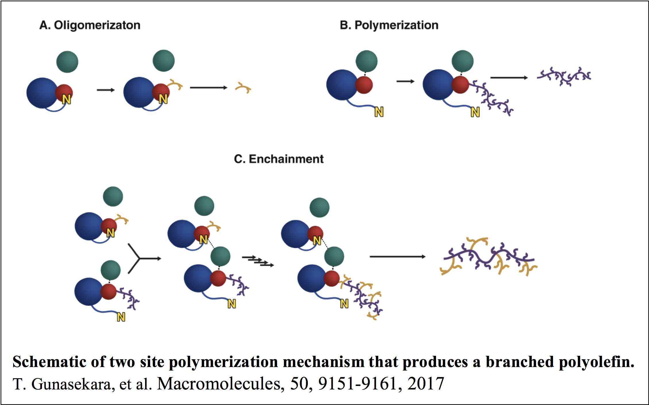 Single Site Olefin Polymerization Kinetics – Caruthers Group