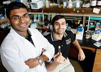 Anand Venkatesan and Aniruddha Kelkar