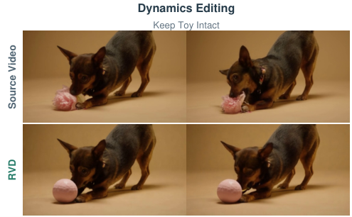 Reimagine Video Dynamics