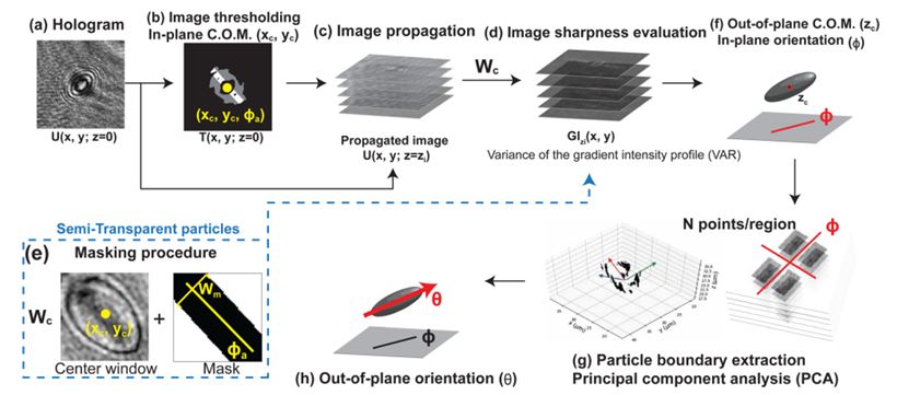 holographic method