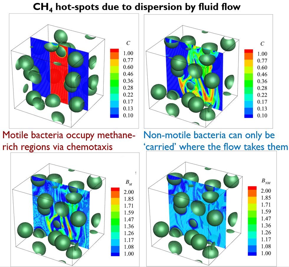 Chemotaxis of methanotrophic bacteria