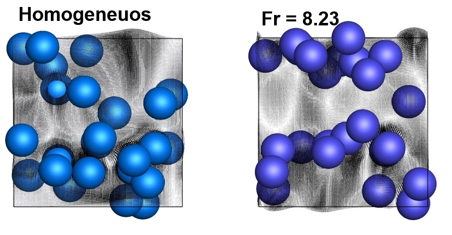 Particles in stratified fluids