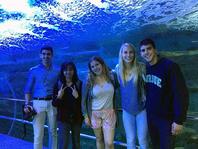 Photo of students at San Sebastian Aquarium