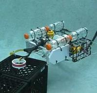 ROV