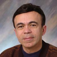 Professor Babak Ziaie