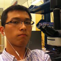 Graduate Student Han Liu