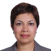 Professor Maryam Saeedifard