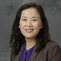 Professor Haiyan Wang