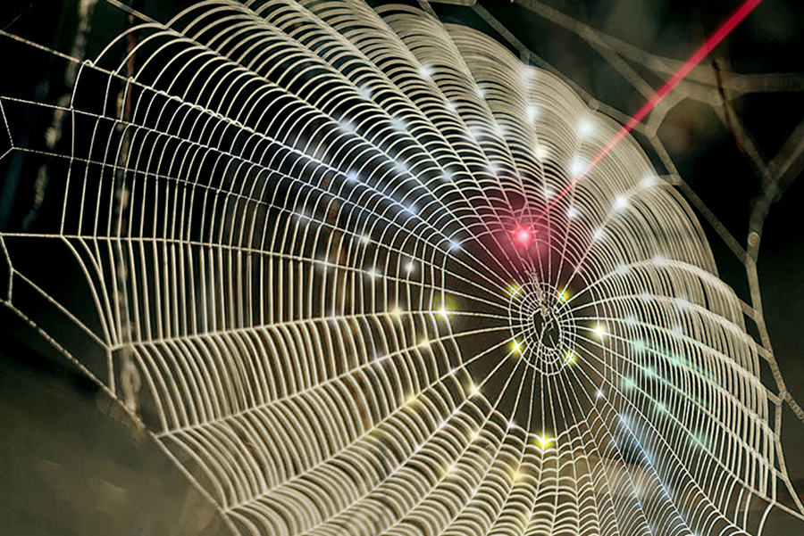 image of spiderweb