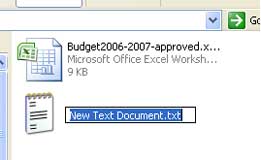 Screenshot of renaming a new text document in Windows.