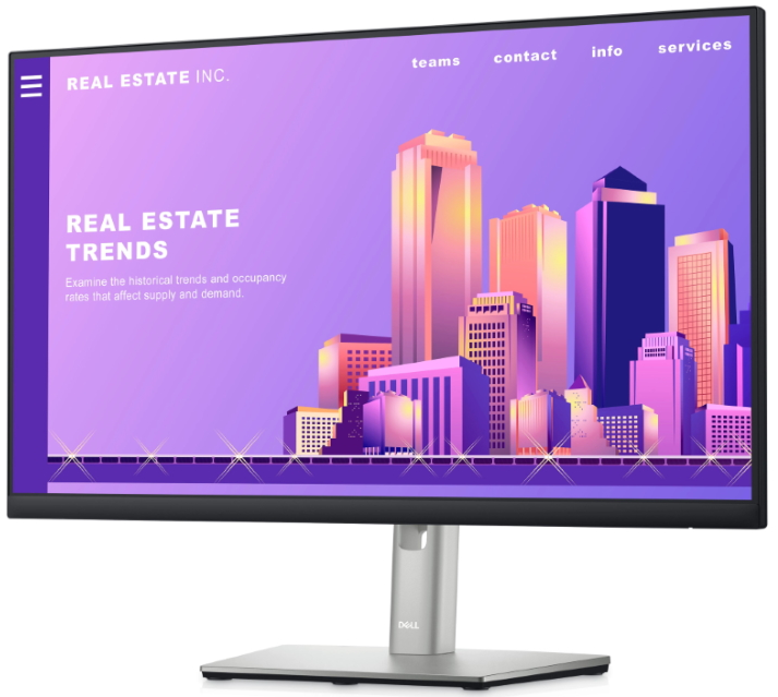 Dell 24 Monitor - P2422H.png