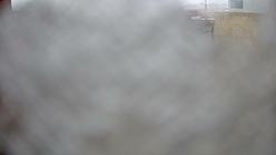 Daniels School of Business