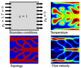 Multi-Physics Topology Optimization
