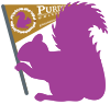 Purple Squirrel Mascot
