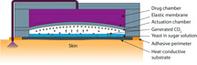 This diagram shows a new type of miniature pump activated by body heat that could be used in drug-delivery patches powered by fermentation. The micropump works by harnessing the pressure generated by fermenting yeast. Such drug-delivery patches might use arrays of