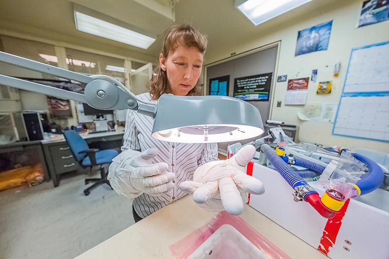 Amy designed the Phase VI gloves worn by every astronaut since 1998. The gloves weigh about 3 pounds each, and have 10 layers of material to protect astronauts' hands from the extremes of space.