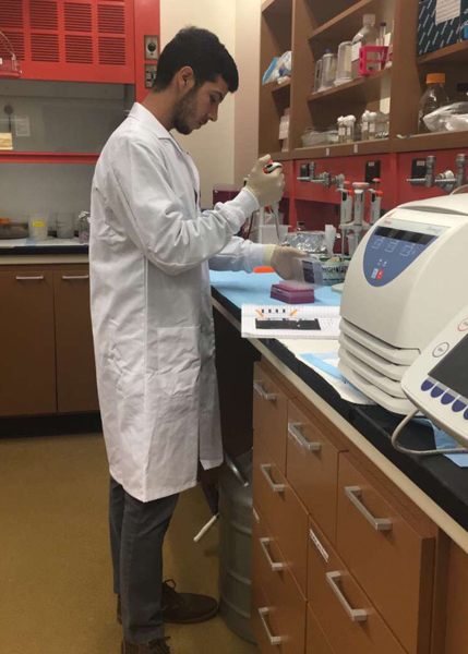 Brito working at the lab