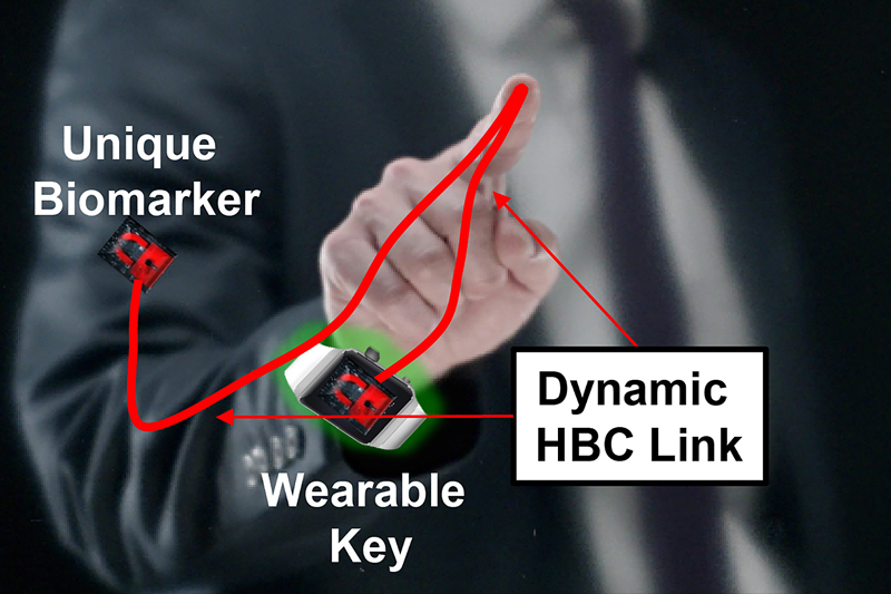 Dynamic HBC link demonstration