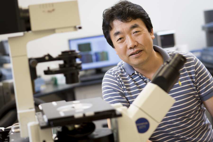 Han's Research Probes Cell Cooperation, 'en Masse' Migration - News ...