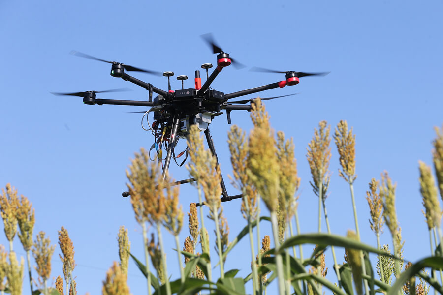 A dron inspecting crops from above