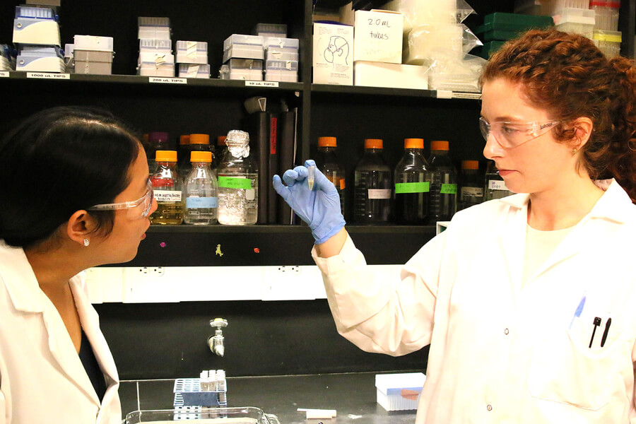 Purdue University associate professor Julie Liu, at left, and doctoral student Sydney Hollingshead helped create a glue that could make medical procedures safer.