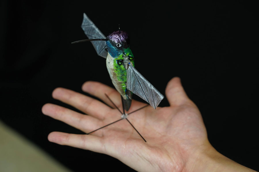 Photo of hummingbird robot